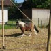 mini-IMG_9925