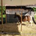 mini-IMG_9928