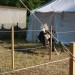 mini-IMG_9929