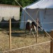 mini-IMG_9930