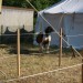 mini-IMG_9931