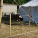 mini-IMG_9932