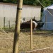 mini-IMG_9933