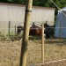 mini-IMG_9934