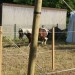 mini-IMG_9935
