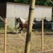 mini-IMG_9936