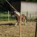 mini-IMG_9938