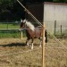 mini-IMG_9939