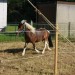 mini-IMG_9940
