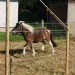 mini-IMG_9941