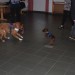 mini-IMG_2166