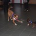 mini-IMG_2167