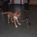 mini-IMG_2168