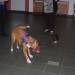mini-IMG_2170