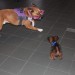 mini-IMG_2172