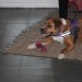 mini-IMG_2174