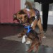 mini-IMG_2178