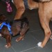 mini-IMG_2179