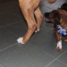 mini-IMG_2180
