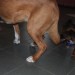 mini-IMG_2181