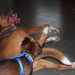 mini-IMG_2182