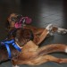 mini-IMG_2183
