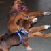 mini-IMG_2185