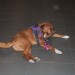 mini-IMG_2186