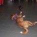 mini-IMG_2188