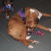 mini-IMG_2190