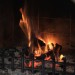 mini-IMG_2200