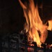 mini-IMG_2203