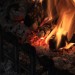 mini-IMG_2204