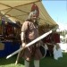 2012-Rosenburg-puls42