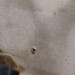 mini-IMG_20191210_122005