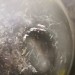 mini-IMG_20191210_122405