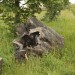 freudenau_108