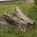 freudenau_109