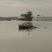 oelhafen_046