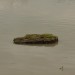oelhafen_056