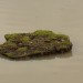 oelhafen_087