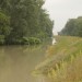 oelhafen_088