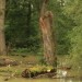 oelhafen_102