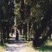 mini-venedig_1998_0020_2
