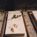 mini-venedig_1998_0021