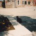 mini-venedig_1998_0126