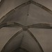 enns-2014_071