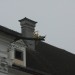 mini-IMG_0257