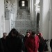 mini-IMG_0400