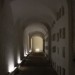 mini-IMG_0513